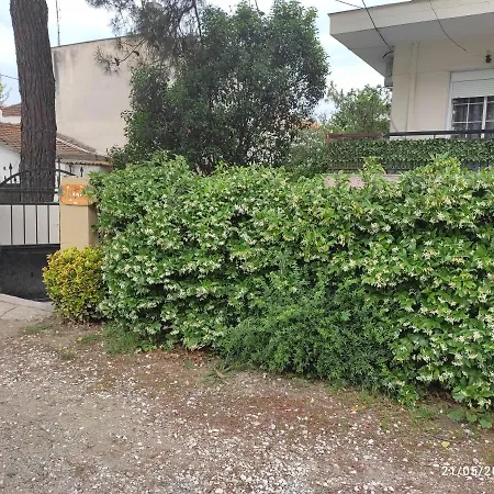 Olivia Studios - Melina'S Home Near The Sea Agia Triada  Exterior photo